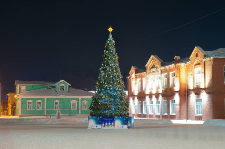 Большая сосна каркасная "Уральская" Большая сосна каркасная "Уральская"